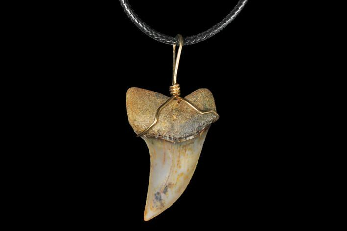 Fossil Mako Tooth Necklace - Bakersfield, California #130869